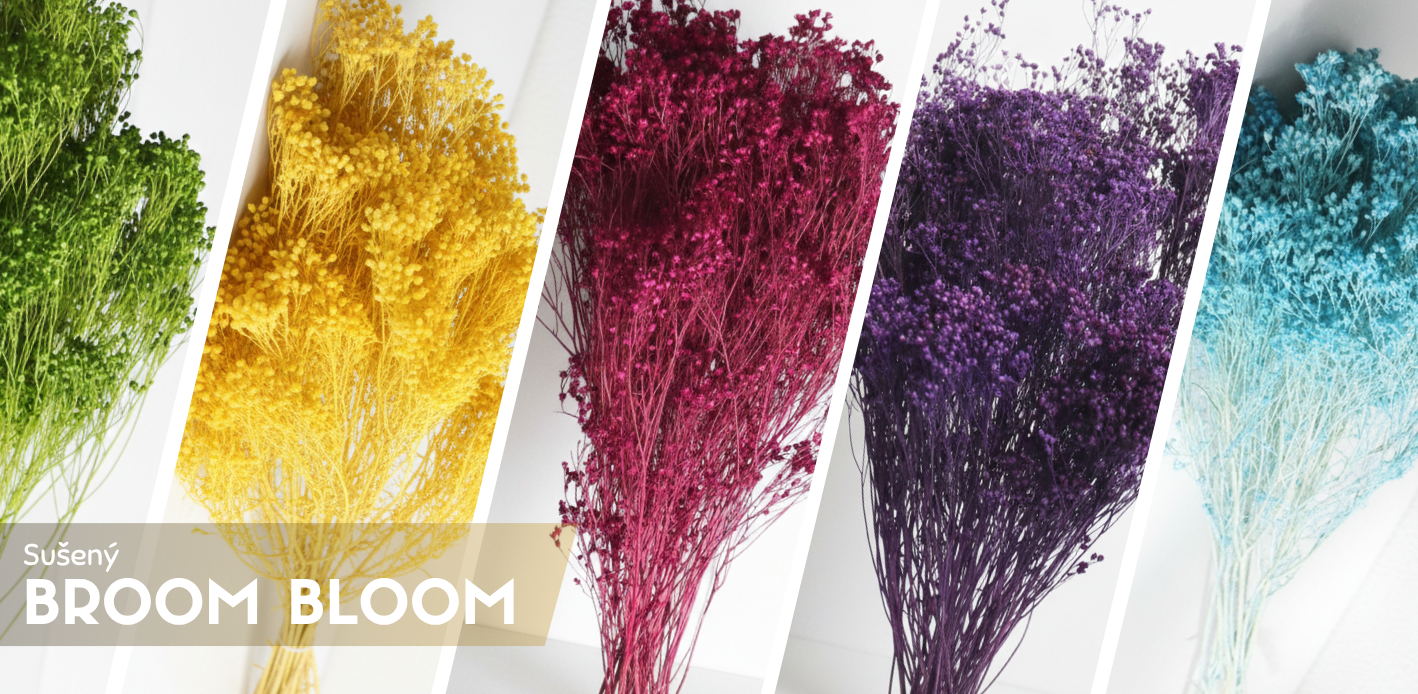 Sušený Broom Bloom do vázy, kytíc a vencov